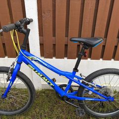Kids 20" Bike