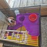 Hamster cage Image 4
