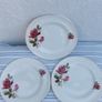 Arklow Pottery Autumn Rose Plates x 6 + 3 Image 2