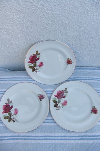 Arklow Pottery Autumn Rose Plates x 6 + 3