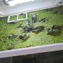 Tank with extras Image 3
