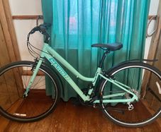 Hybrid Bike