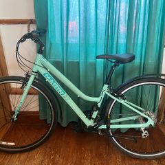 Hybrid Bike