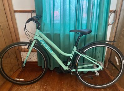 Hybrid Bike