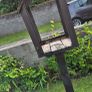 Bird Table Image 2
