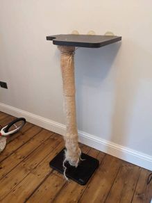 cat scratching post