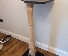 cat scratching post