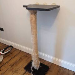 cat scratching post