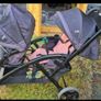double buggy Joie Image 2