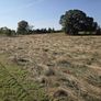 Haylage for sale Image 2