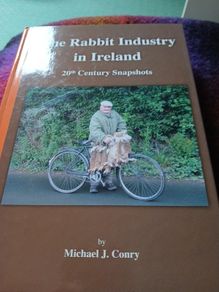 Irish interest