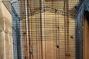 Tall Bird Cage,