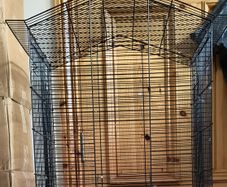 Tall Bird Cage,
