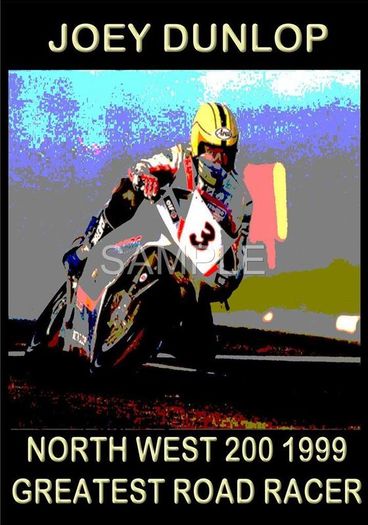 Joey Dunlop North West 200 1999 Art Poster Print