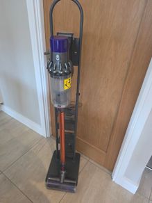 Dyson V11
