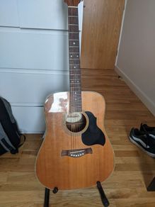 Acoustic guitar: Richwood Master Series D60