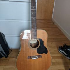 Acoustic guitar: Richwood Master Series D60