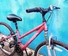 applo kids bikes