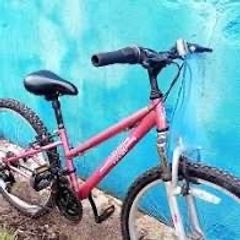 applo kids bikes