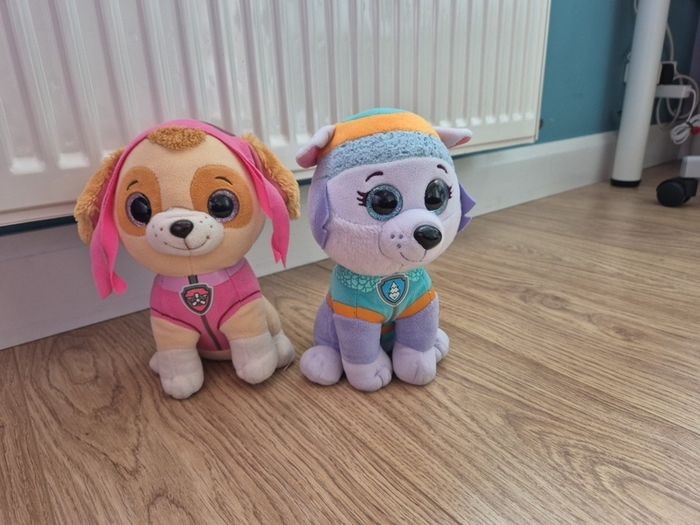 Paw patrol