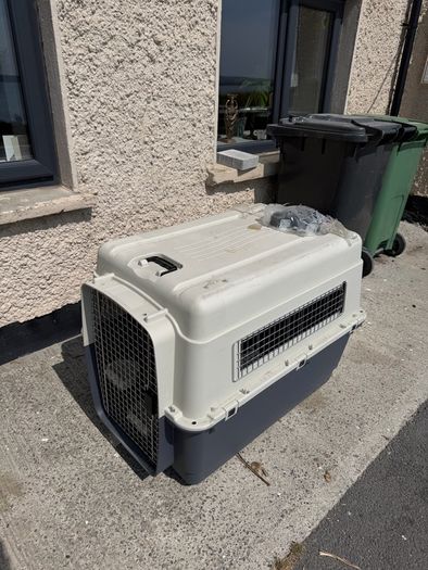dog crate