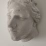 studio plaster half head plaster Image 2
