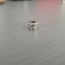 Pandora Clip Charms Image 4
