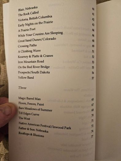 Iron Mountain Road. By Eamonn Wall. First Edition Paperback In Good Condition. See Photos For Same.