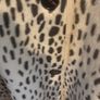 Marks and Spencer faux leopard print soft hair jacket Image 6