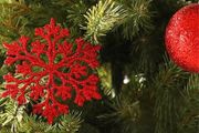 Selection of Christmas Decorations