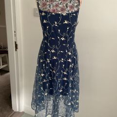 dress paisie blue lace Tulle dress size 10 occasion dress