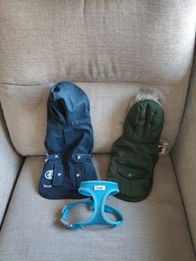 Two Tiny Dog Coats And A Harness
