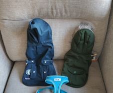 Two Tiny Dog Coats And A Harness