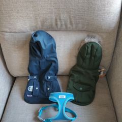Two Tiny Dog Coats And A Harness