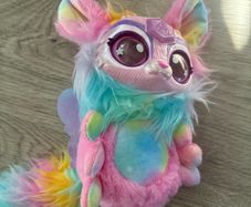 Toy