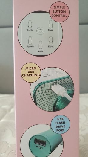 Karaoke microphones with wireless speaker