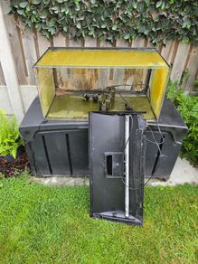 Free fish tank
