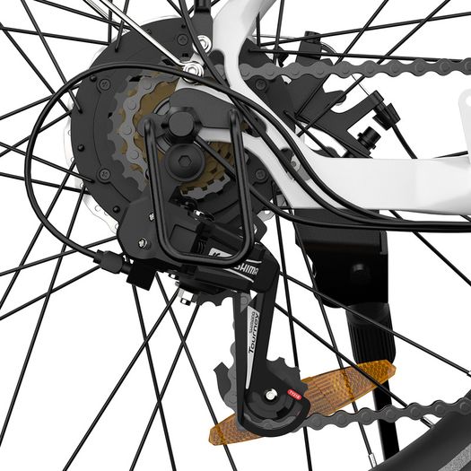 ESKUTE C100 Electric Bike