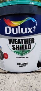 Exterior Brilliant White Paint