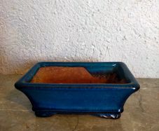 Small Bonsai Pot #4