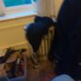 sonor Image 3