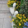 garden planters Image 2