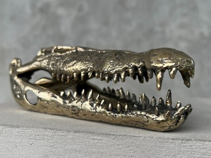 Saltwater Crocodile Skull - Polished Bronze