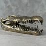 Saltwater Crocodile Skull - Polished Bronze Image 3