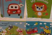 Life The Flaps Board Books
