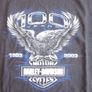 HarleyDavidson Eagle100Years Blue Chicago T/Shirt Image 3