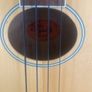 acoustic Bass Image 2