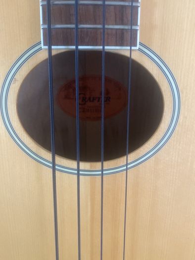 acoustic Bass