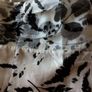 New Kate Cooper black and white Corset top with tags 14-16 Image 3