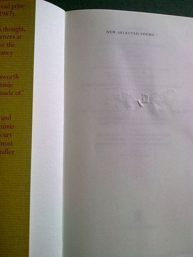 Seamus Heaney new selected poems 1966-1987 Ireland Irish